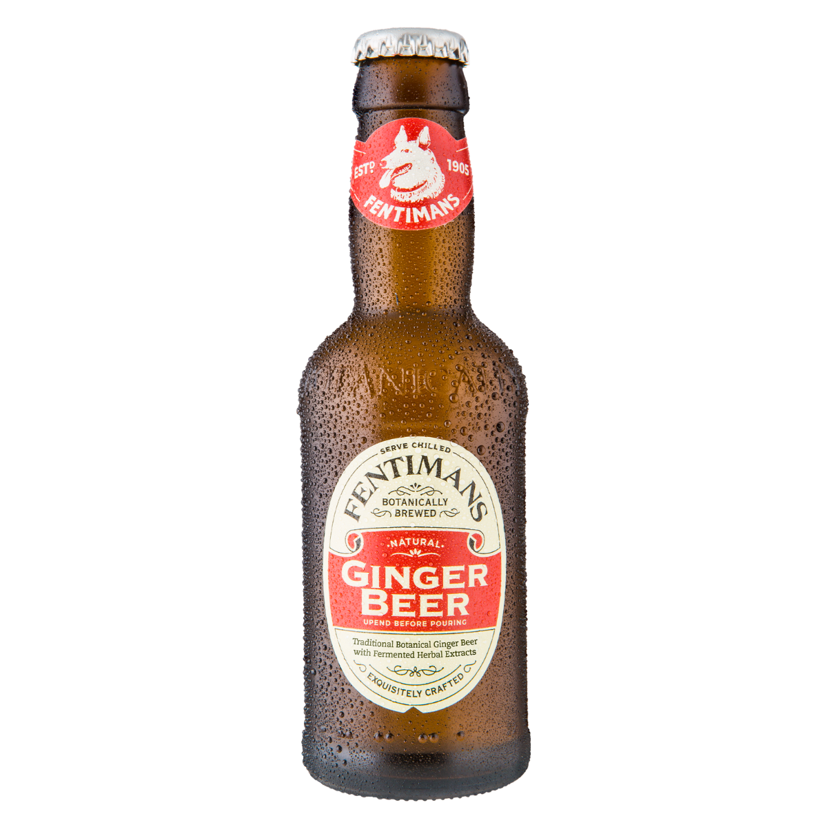 Fentimans Ginger Beer 0.2l – 6 Flašica