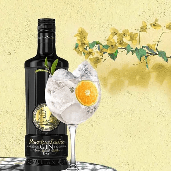 Puerto De Indias Black Edition Gin 0.70l
