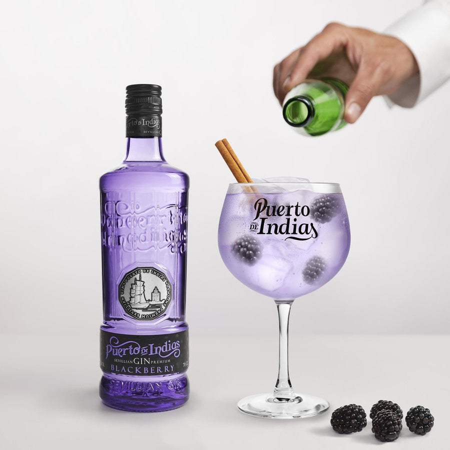Puerto De Indias Blackberry Gin 0.70l